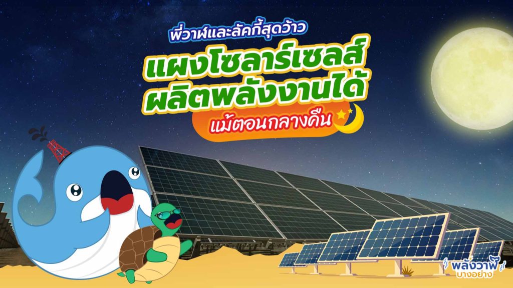 พี่วาฬและลัคกี้สุดว้าว แผงโซลาร์เซลส์ผลิตพลังงานแม้ตอนกลางคืน, Whale Energy Station