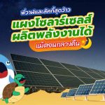 พี่วาฬและลัคกี้สุดว้าว แผงโซลาร์เซลส์ผลิตพลังงานแม้ตอนกลางคืน, Whale Energy Station