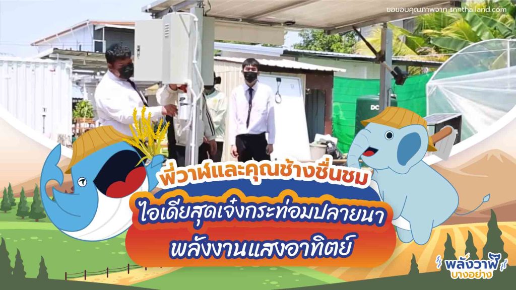 พี่วาฬและคุณช้างชื่นชม ไอเดียสุดเจ๋งกระท่อมปลายนาพลังงานแสงอาทิตย์, Whale Energy Station