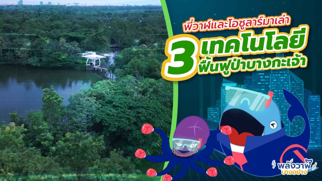 พี่วาฬและโอซูลาร์มาเล่า 3 เทคโนโลยีฟื้นฟูป่าบางกะเจ้า, Whale Energy Station