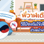 พี่วาฬเตือน!! วิธีป้องกันไข้เลือดออกช่วงหน้าฝน, Whale Energy Station