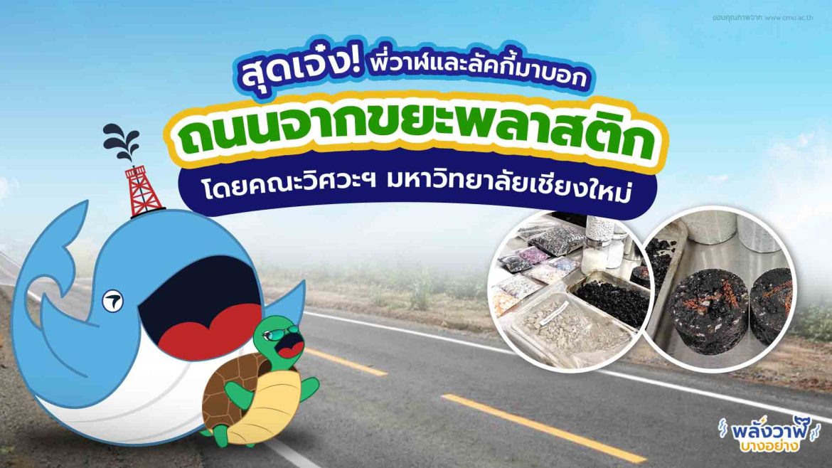 สุดเจ๋ง พี่วาฬและลัคกี้มาบอก ถนนจากขยะพลาสติกโดยคณะวิศวะฯ มหาวิทยาลัยเชียงใหม่