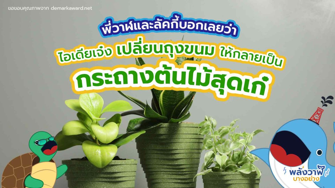 พี่วาฬและลัคกี้บอกเลยว่าไอเดียเจ๋ง เปลี่ยนถุงขนมให้กลายเป็นกระถางต้นไม้สุดเก๋