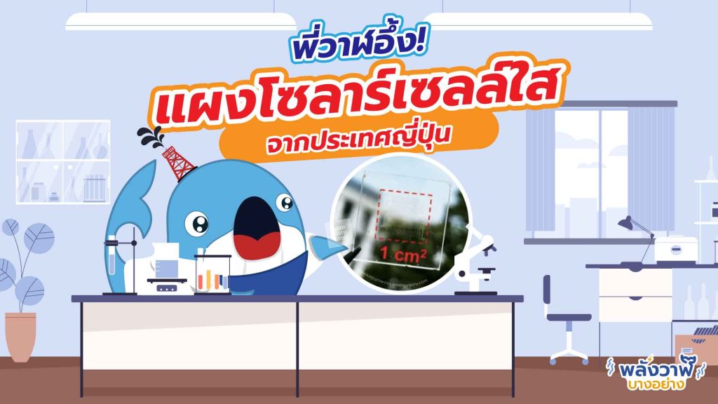 พี่วาฬอึ้ง แผงโซลาร์เซลส์ใสจากประเทศญี่ปุ่น, Whale Energy Station