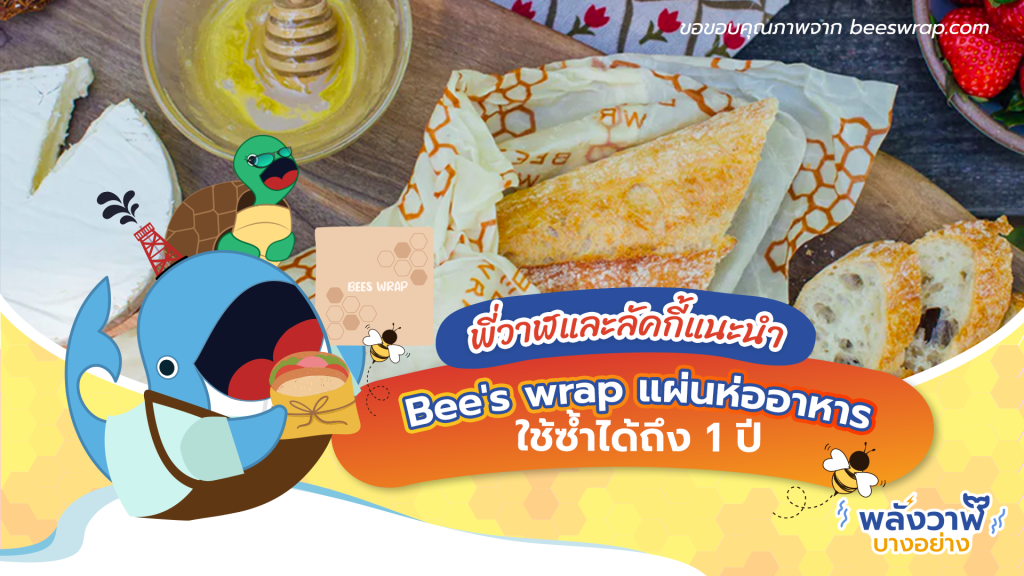 พี่วาฬและลัคกี้แนะนำ Bee&#8217;s wrap แผ่นห่ออาหารใช้ซ้ำได้ถึง 1 ปี, Whale Energy Station