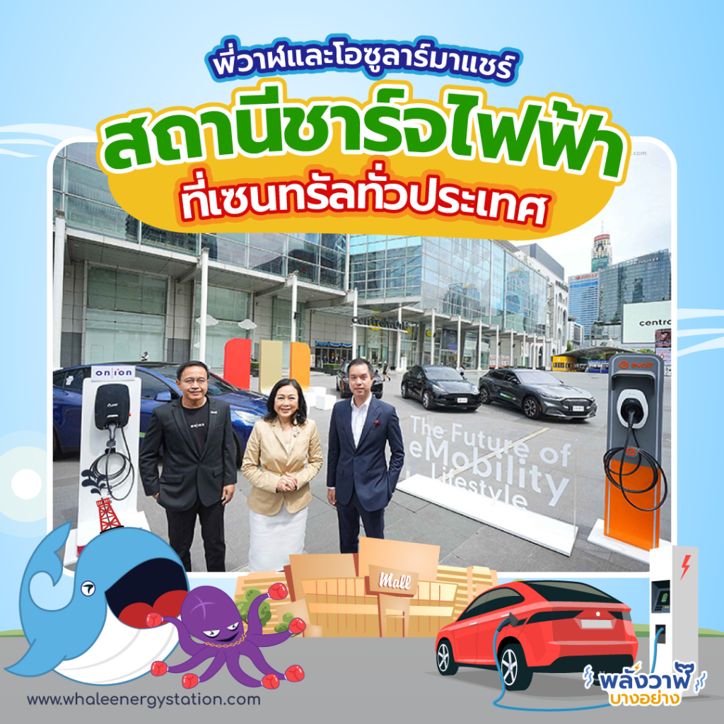 พี่วาฬและโอซูลาร์มาแชร์ สถานีชาร์จไฟฟ้าที่เซนทรัลทั่วประเทศ, Whale Energy Station