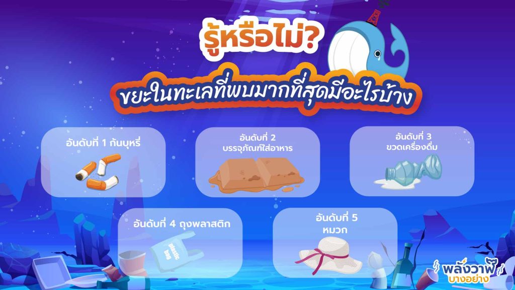 รู้หรือไม่? ขยะในทะเลที่พบมากที่สุดมีอะไรบ้าง, Whale Energy Station