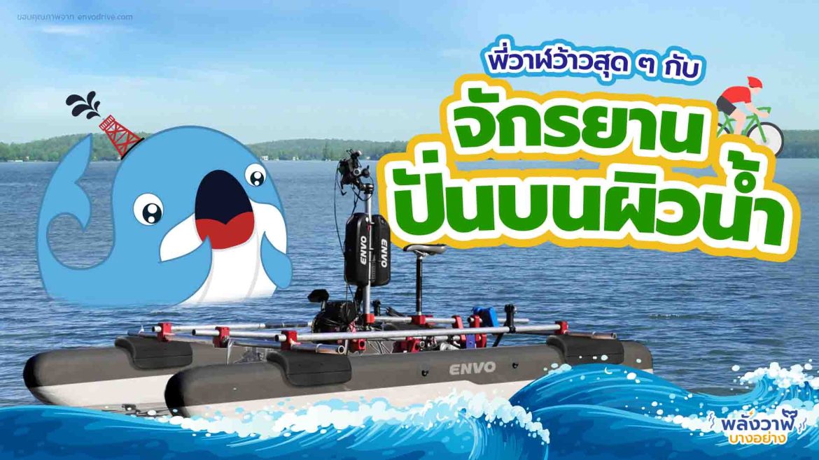 พี่วาฬว้าวสุด ๆ กับจักรยานปั่นบนผิวน้ำ