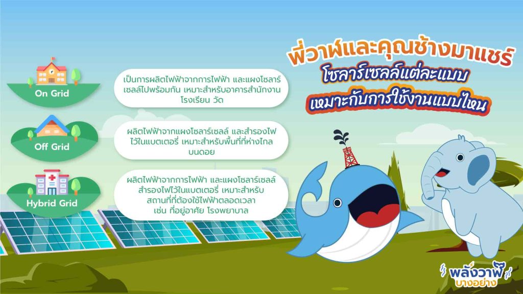 พี่วาฬและคุณช้างมาแชร์ โซลาร์เซลส์แต่ละแบบเหมาะกับการใช้งานแบบไหน, Whale Energy Station