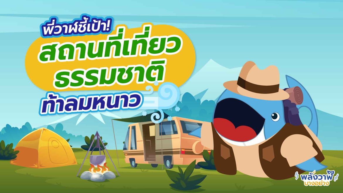 พี่วาฬชี้เป้า สถานที่เที่ยวธรรมชาติท้าลมหนาว