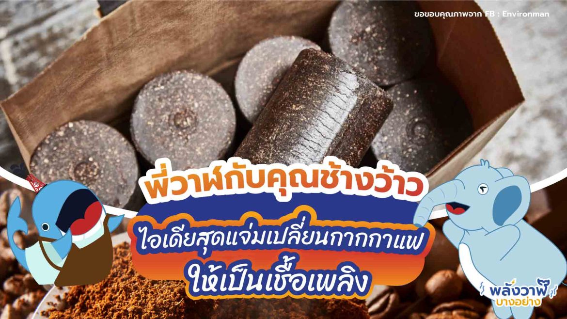 พี่วาฬกับคุณช้างว้าว ไอเดียสุดแจ๋มเปลี่ยนกากกาแฟให้เป็นเชื้อเพลิง