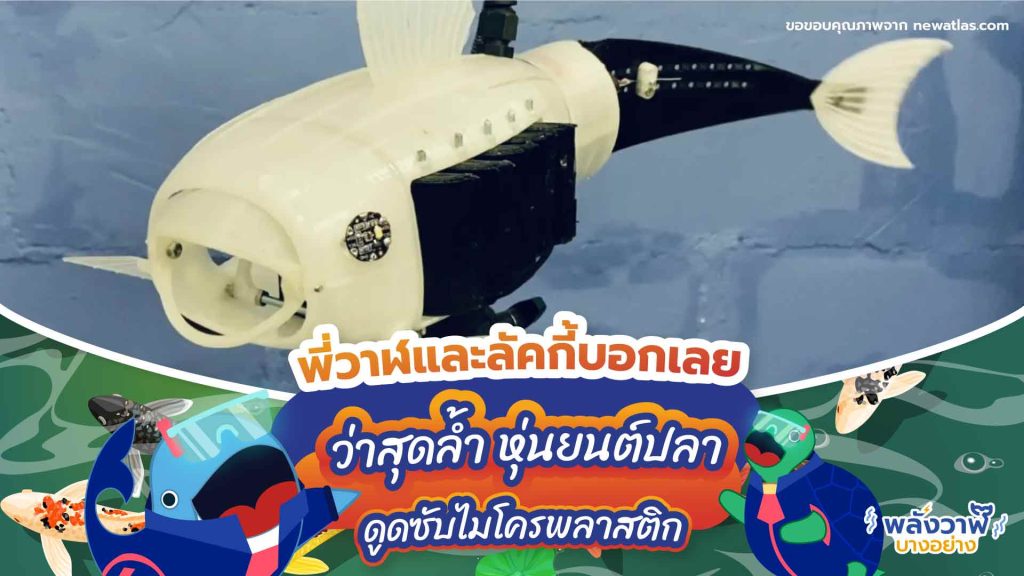 พี่วาฬและลัคกี้บอกเลยว่าสุดล้ำ หุ่นยนต์ปลาดูดซับไมโครพลาสติก, Whale Energy Station