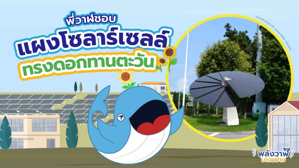 พี่วาฬชอบ แผงโซลาร์เซลล์ทรงดอกทานตะวัน, Whale Energy Station