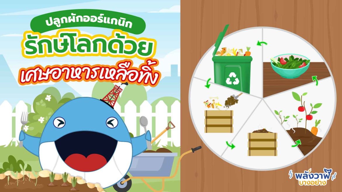 ปลูกผักออร์แกนิกรักษ์โลกด้วยเศษอาหารเหลือทิ้ง