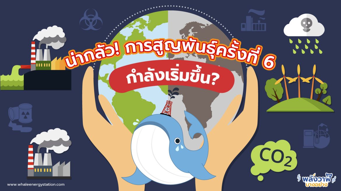 น่ากลัว! การสูญพันธุ์ครั้งที่ 6 กำลังเริ่มขึ้น?