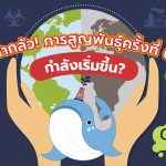 น่ากลัว! การสูญพันธุ์ครั้งที่ 6 กำลังเริ่มขึ้น?, Whale Energy Station