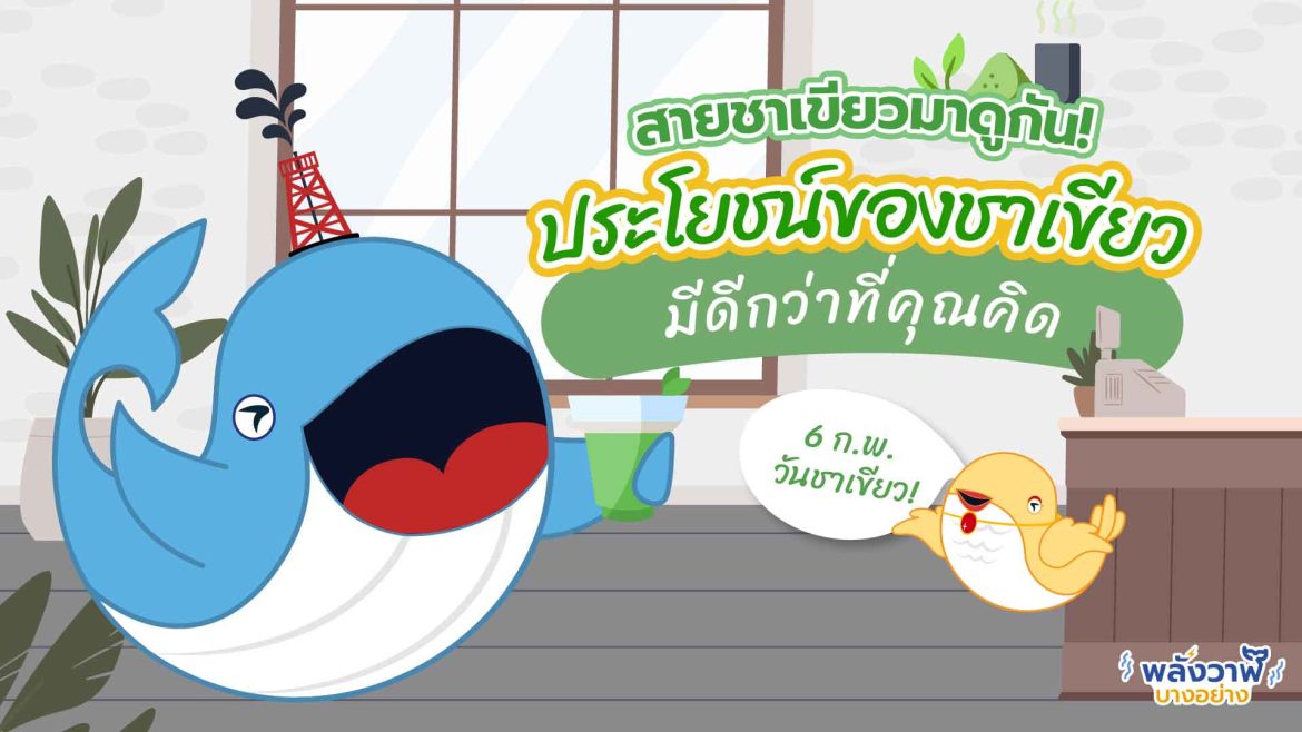 สายชาเขียวมาดูกัน ! ประโยชน์ของชาเขียวมีดีกว่าที่คุณคิด