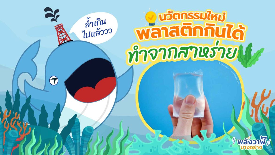 ล้ำเกินไปแล้ว นวัตกรรมใหม่ พลาสติกกินได้ทำจากสาหร่าย