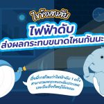 ไขข้อสงสัย ไฟฟ้าดับส่งผลกระทบขนาดไหนกันนะ, Whale Energy Station