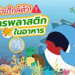 ภัยร้ายใกล้ตัว ไมโครพลาสติกในอาหาร, Whale Energy Station