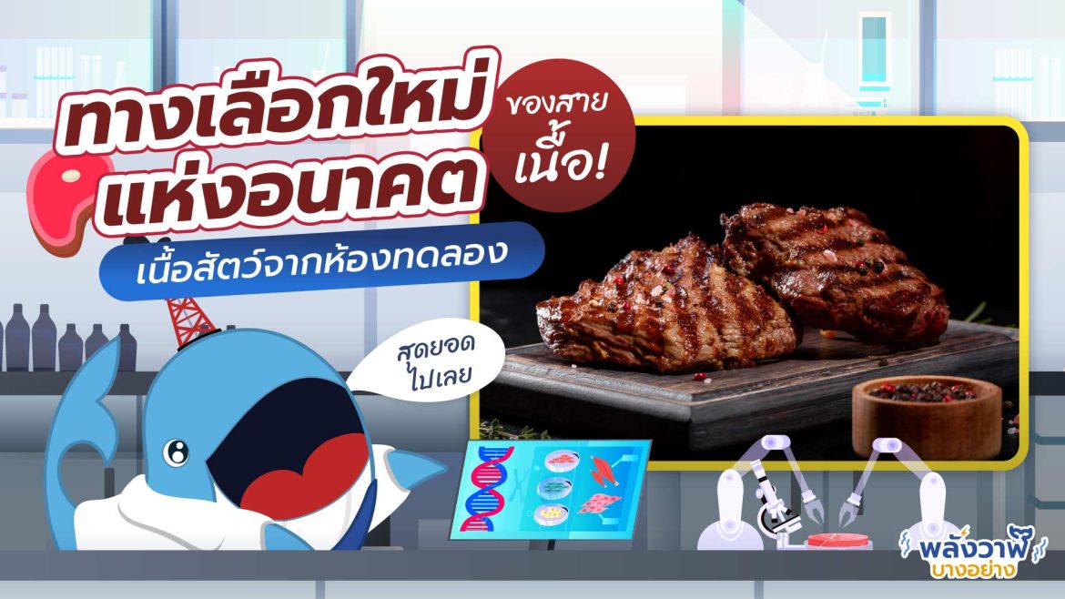 ทางเลือกใหม่แห่งอนาคต ของสายเนื้อ เนื้อสัตว์จากห้องทดลอง