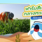 สุดล้ำ กับฟาร์มสีเขียวกลางทะเลทรายที่ประเทศ UAE, Whale Energy Station