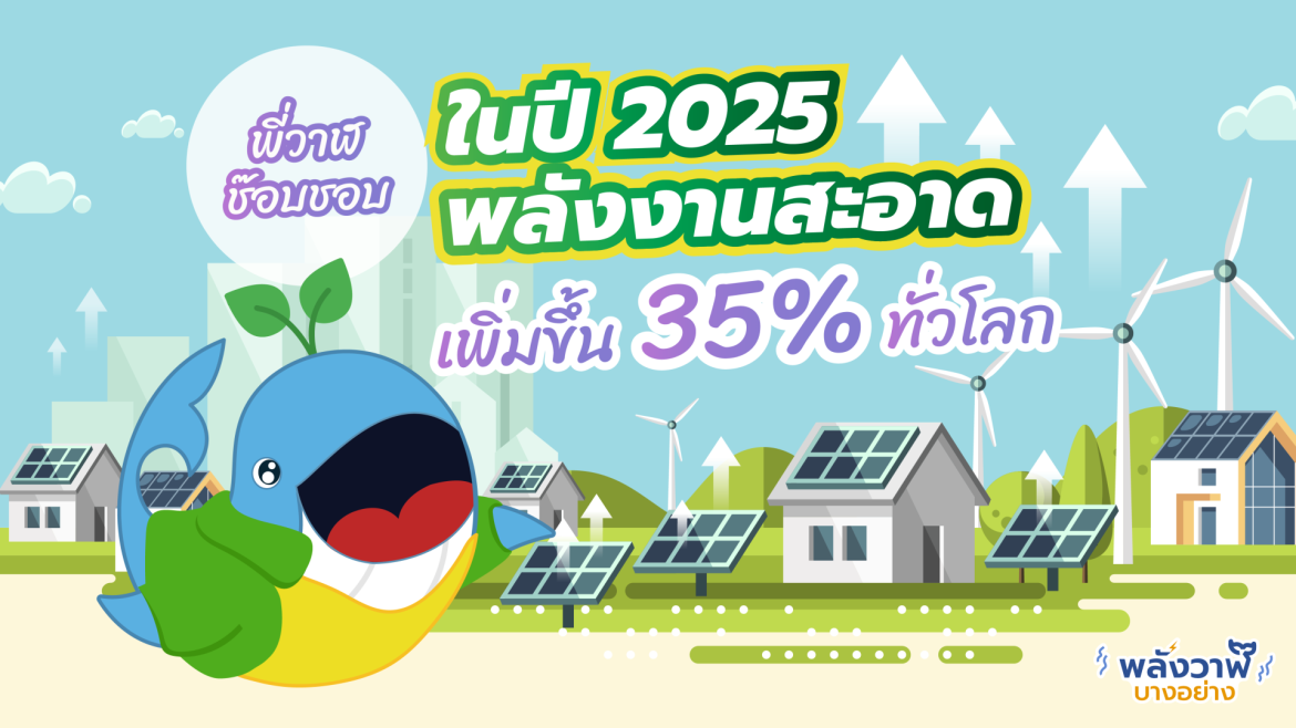 พี่วาฬช๊อบชอบ ในปี 2025 พลังงานสะอาดเพิ่มขึ้น 35% ทั่วโลก
