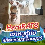 HeroRATS เจ้าหนูกู้ภัย ที่ค่อยช่วยเหลือมนุษย์, Whale Energy Station