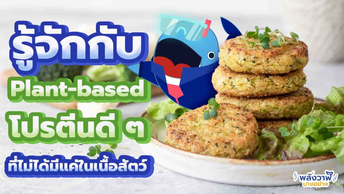รู้จักกับ อาหาร Plant-Based โปรตีนดี ๆ ที่ไม่ได้มีแค่ในเนื้อสัตว์