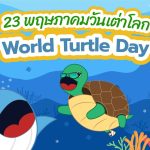 23 พฤษภาคมวันเต่าโลก World Turtle Day, Whale Energy Station