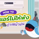 How to ดูแลแอร์ไม่ให้พังช่วงหน้าฝน, Whale Energy Station