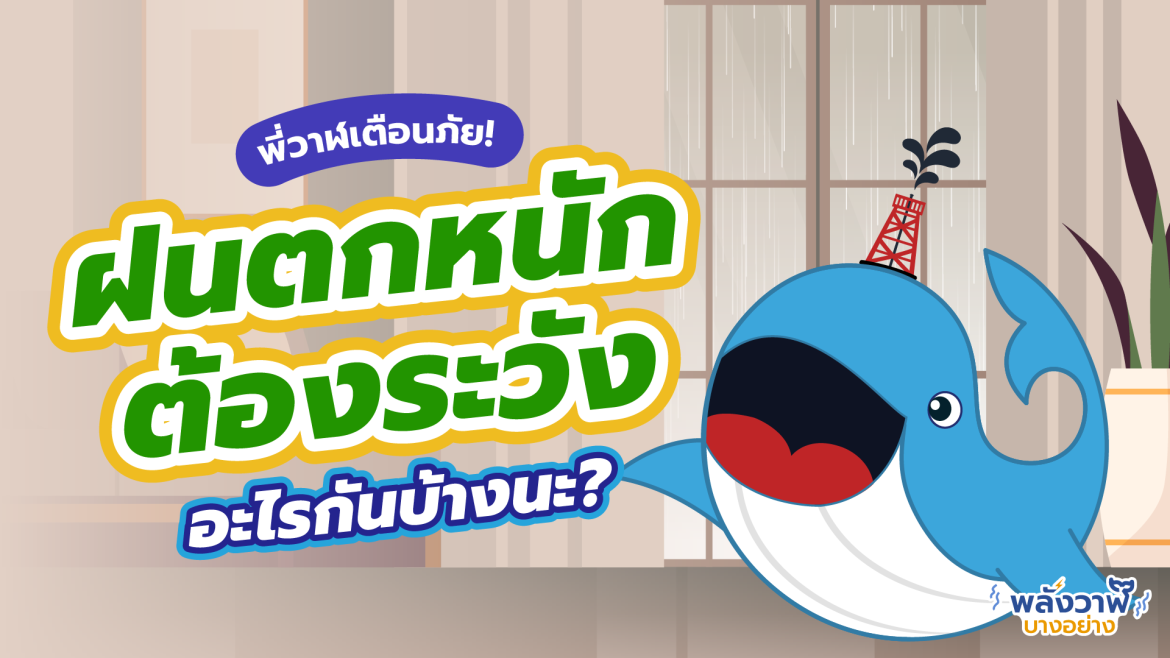 พี่วาฬเตือนภัย! ฝนตกหนักต้องระวังอะไรกันบ้างนะ?