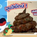 พี่วาฬอึ้ง ! อุนจิยักษ์บนชายหาดออสเตรเลีย, Whale Energy Station