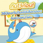 กันไว้ก่อน! วิธีป้องกันโรคไข้เลือดออกในช่วงหน้าฝน, Whale Energy Station