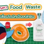 เยี่ยม! แก้ปัญหา Food waste เปลี่ยนโดนัทเป็นเหล้ายิน, Whale Energy Station