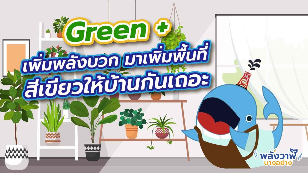 เพิ่มพลังบวก มาเพิ่มพื้นที่สีเขียวให้บ้านกันเถอะ