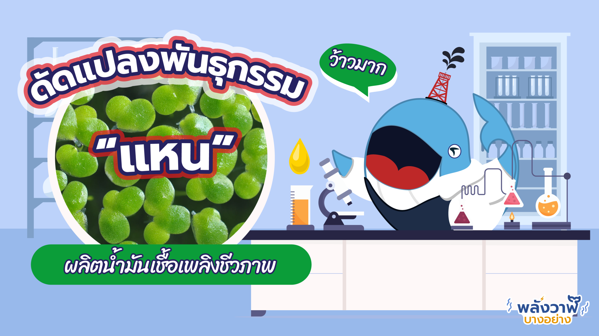 ว้าวมาก! ดัดแปลงพันธุกรรม “แหน” ผลิตน้ำมันเชื้อเพลิงชีวภาพ, Whale Energy Station