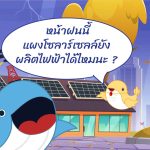 หน้าฝนนี้ แผงโซลาร์เซลล์ยังผลิตไฟฟ้าได้ไหมนะ?, Whale Energy Station