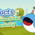 Facts เกี่ยวกับโซลาร์เซลล์ที่คุณยังไม่รู้, Whale Energy Station