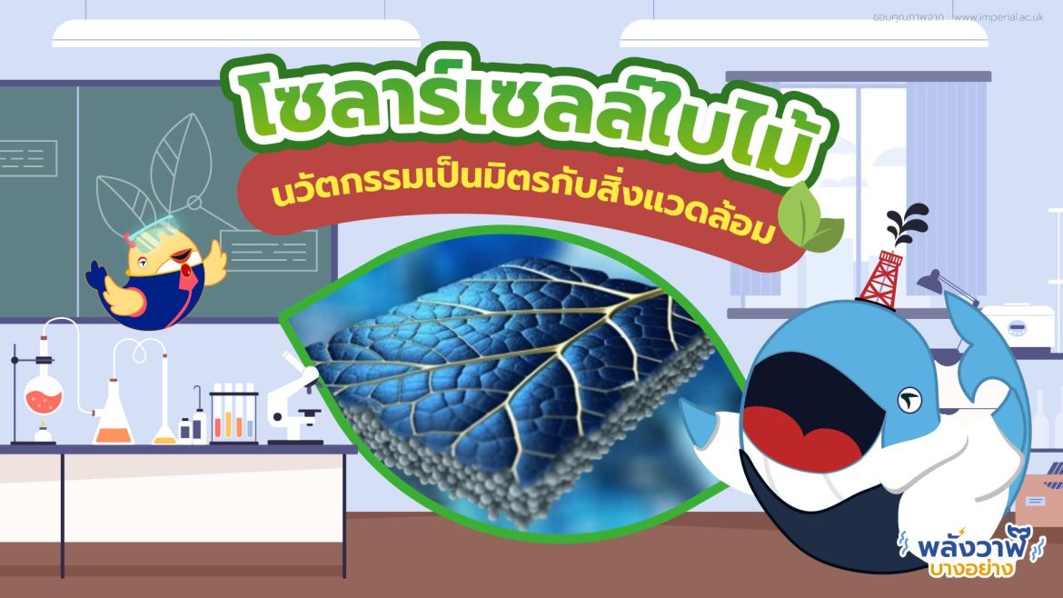 โซลาร์เซลล์ใบไม้  นวัตกรรมเป็นมิตรกับสิ่งแวดล้อม