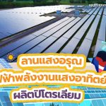 ลานแสงอรุณ ไฟฟ้าพลังงานแสงอาทิตย์ผลิตปิโตรเลียม, Whale Energy Station