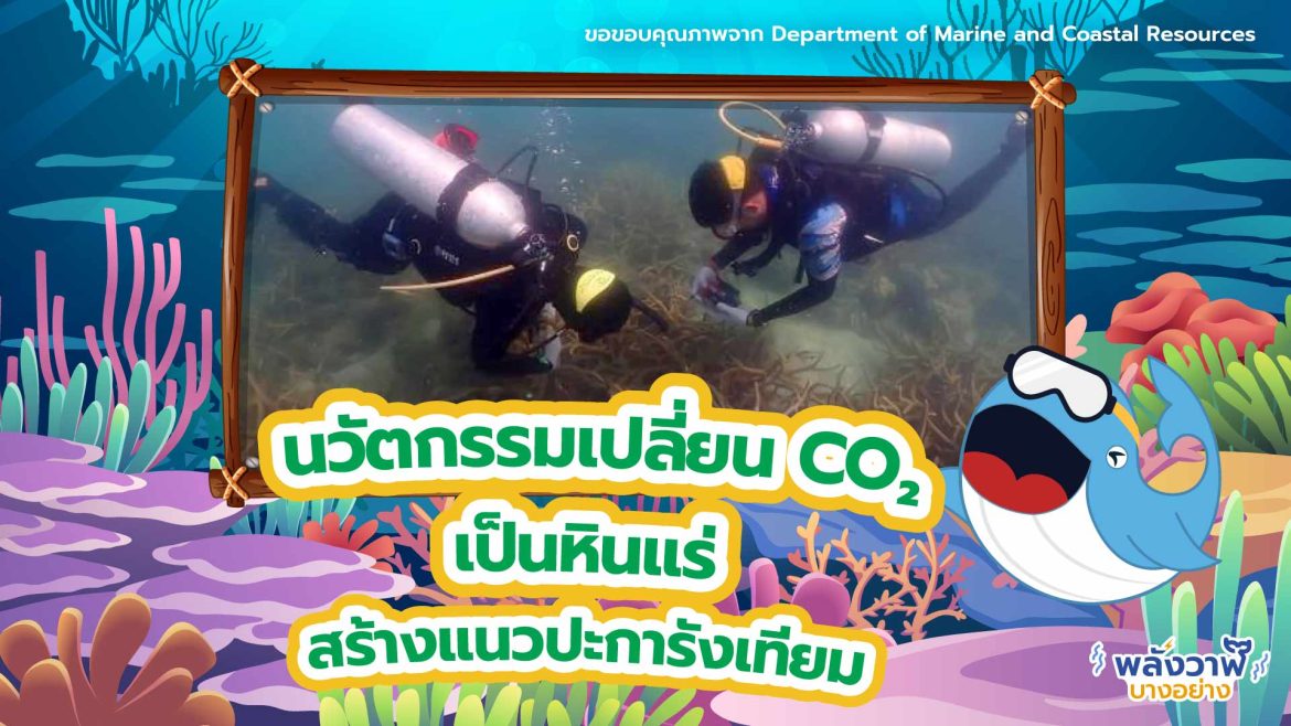 นวัตกรรมเปลี่ยน CO2 เป็นหินแร่ สร้างแนวปะการังเทียม