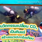 นวัตกรรมเปลี่ยน CO2 เป็นหินแร่ สร้างแนวปะการังเทียม, Whale Energy Station