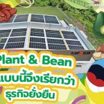 Plant & Bean ทำแบบนี้จึงเรียกว่าธุรกิจยั่งยืน, Whale Energy Station