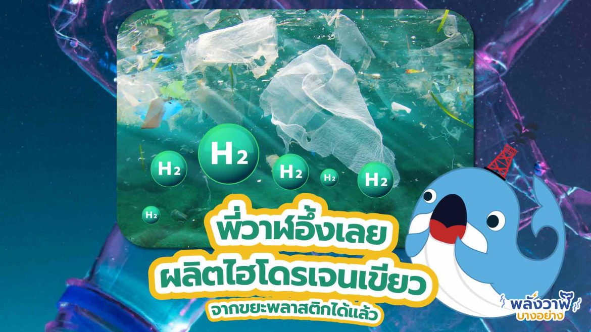 พี่วาฬอึ้งเลย ผลิตไฮโดรเจนเขียวจากขยะพลาสติกได้แล้ว