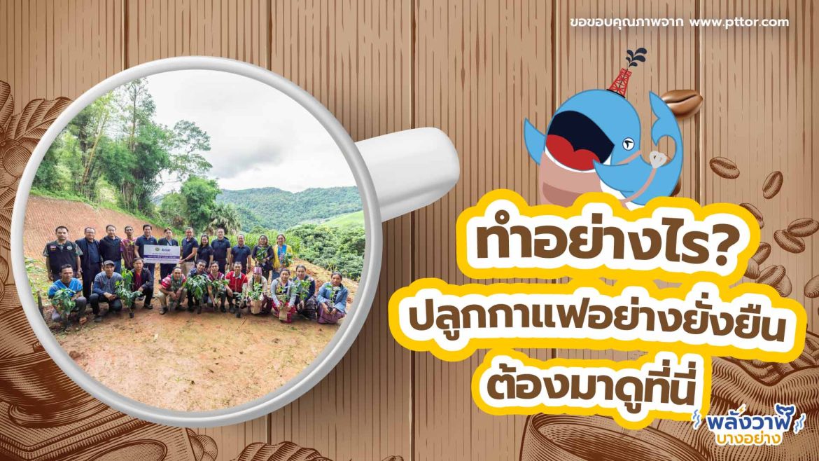 ทำอย่างไร? ปลูกกาแฟอย่างยั่งยืน ต้องมาดูที่นี่