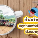 ทำอย่างไร? ปลูกกาแฟอย่างยั่งยืน ต้องมาดูที่นี่, Whale Energy Station