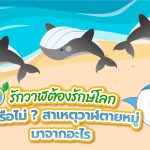 รักวาฬต้องรักษ์โลก  รู้หรือไม่? สาเหตุวาฬตายหมู่มาจากอะไร, Whale Energy Station