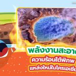 พลังงานสะอาด ความร้อนใต้พิภพแหล่งใหม่ในโครเอเชีย, Whale Energy Station