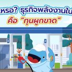 จริงเหรอ? ธุรกิจพลังงานในไทยคือ “ทุนผูกขาด”, Whale Energy Station